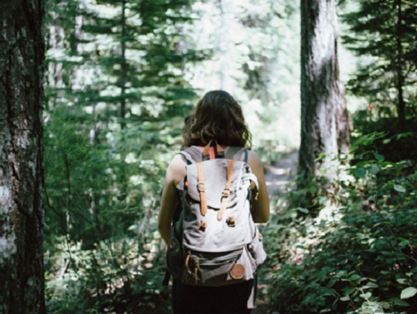 Wandern und Schreiben hilft dabei, innerliche Klarheit und Ruhe zu finden – zum Beispiel bei einem Spaziergang durch den Wald